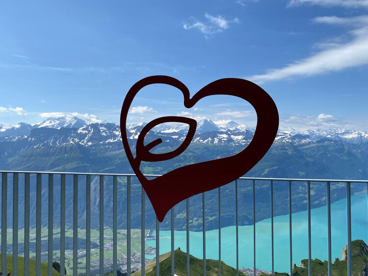 Aussichtspodest mit Zugangstreppe